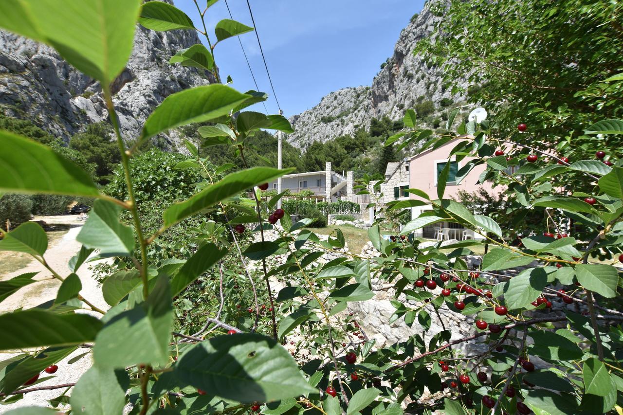 Apartment Petea Omis Exterior photo